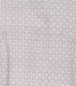 WINSLOW DRESS SHIRT Spread Collar