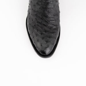 Colt - Men's Full Quill Ostrich