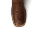 Colt - Men's Full Quill Ostrich