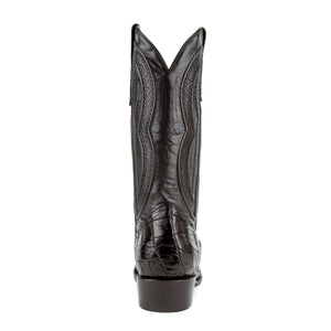 Stallion - American Alligator