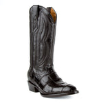 Stallion - American Alligator