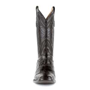 Stallion - American Alligator