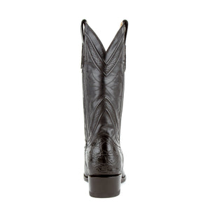Stallion - American Alligator