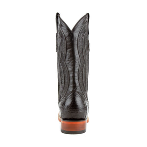 Stallion - American Alligator