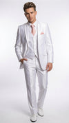 Shiny Suit