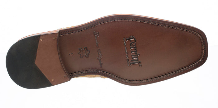Belly Alligator 205