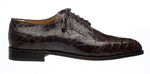 Belly Alligator 3673
