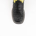 Ladies Colt - Full Quill Ostrich