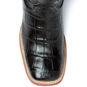 Ferrini Stallion - American Alligator