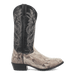 MANNING PYTHON BOOT