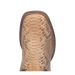 TEMPLETON PYTHON BOOT