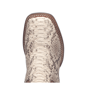 BRUTUS PYTHON BOOT