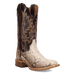 AMARA PYTHON BOOT