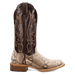 AMARA PYTHON BOOT