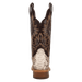 AMARA PYTHON BOOT
