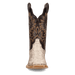 AMARA PYTHON BOOT
