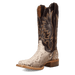 AMARA PYTHON BOOT