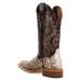 AMARA PYTHON BOOT