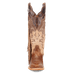 DAYLA LEATHER BOOT