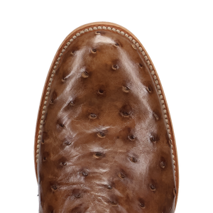 ARDOR FULL QUILL OSTRICH BOOT