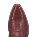 CALVERA PYTHON BOOT