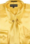 Shiny Dress Shirt