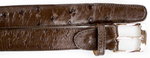 Belvedere Ostrich Quill Belt - Tabac Brown Luxury Shoe