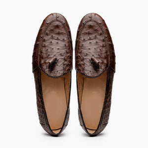 Aubiere Brown Ostrich Loafer 