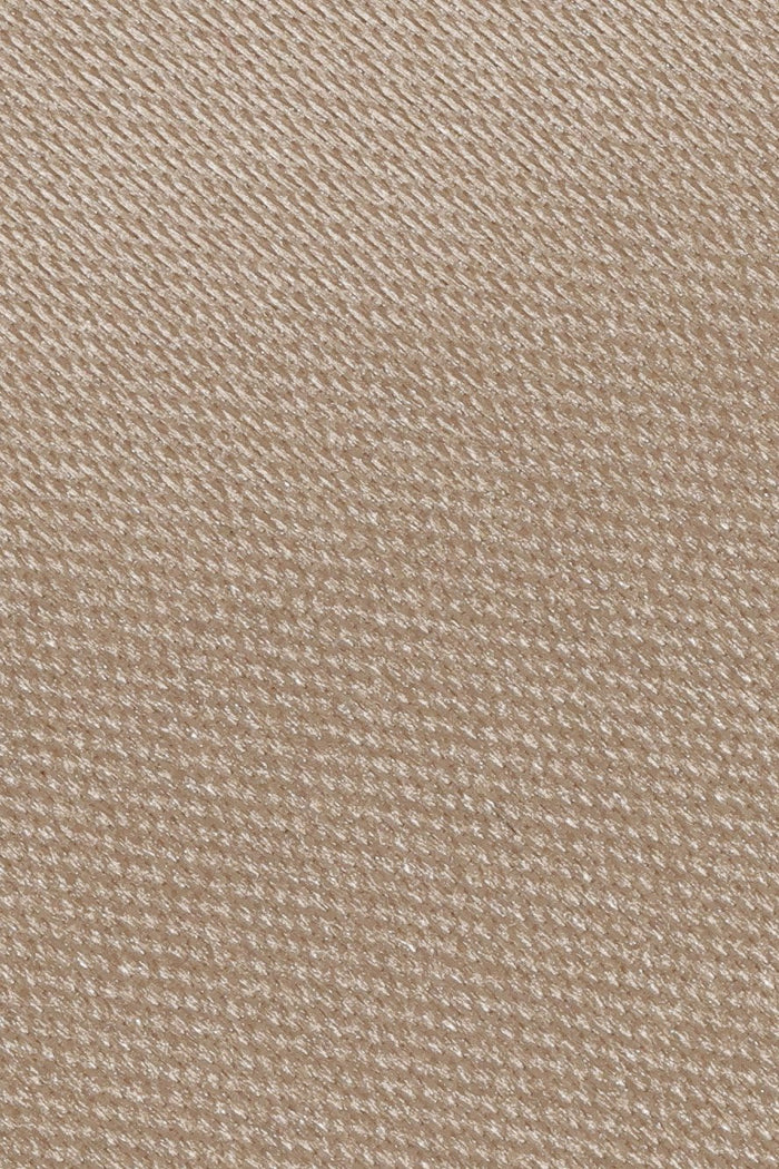 Biscotti Eternity Necktie