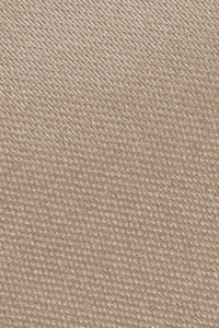 Biscotti Eternity Necktie