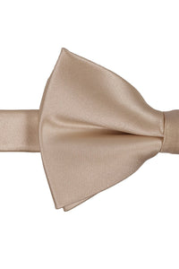 Champagne Eternity Kids Bow Tie