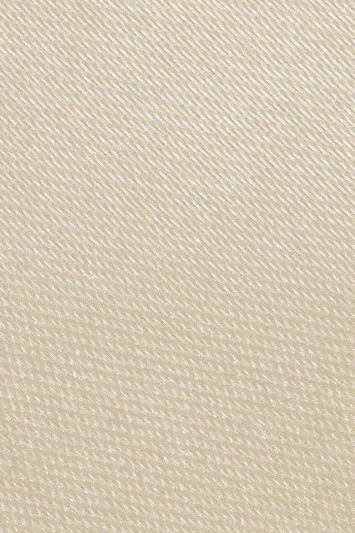 Champagne Eternity Necktie