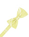 Canary Striped Satin Bow Tie