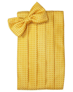 Gold Venetian Kids Cummerbund