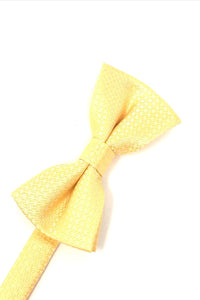 Harvest Maize Regal Kids Bow Tie