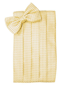 Harvest Maize Venetian Cummerbund