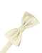 Ivory Palermo Bow Tie