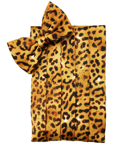 Jaguar Cummerbund