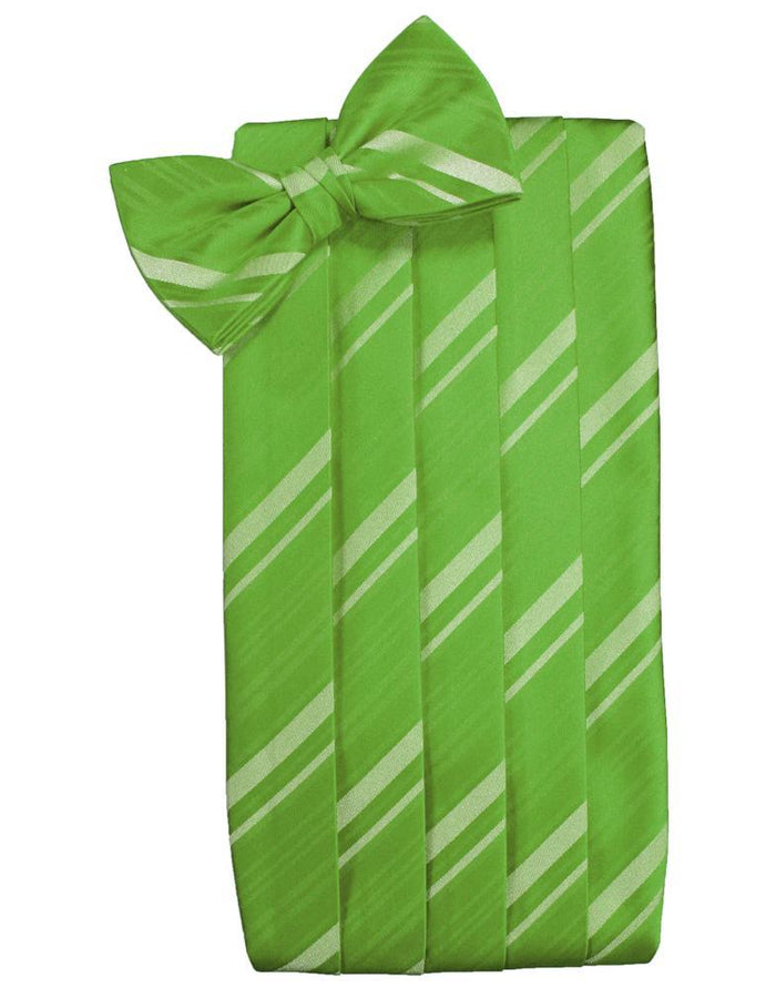 Kelly Striped Satin Cummerbund