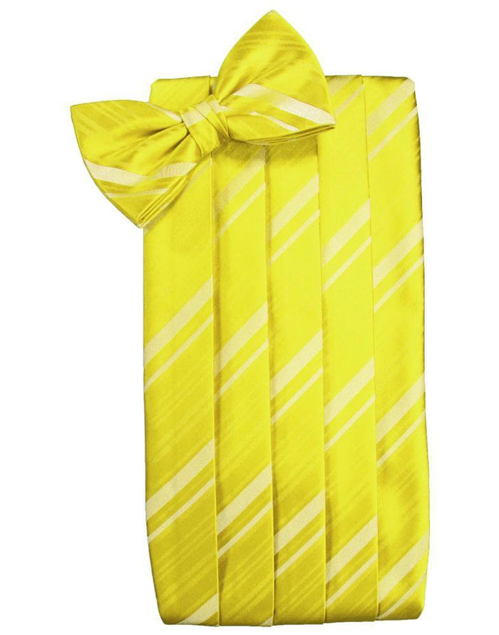 Lemon Kids Striped Satin Cummerbund