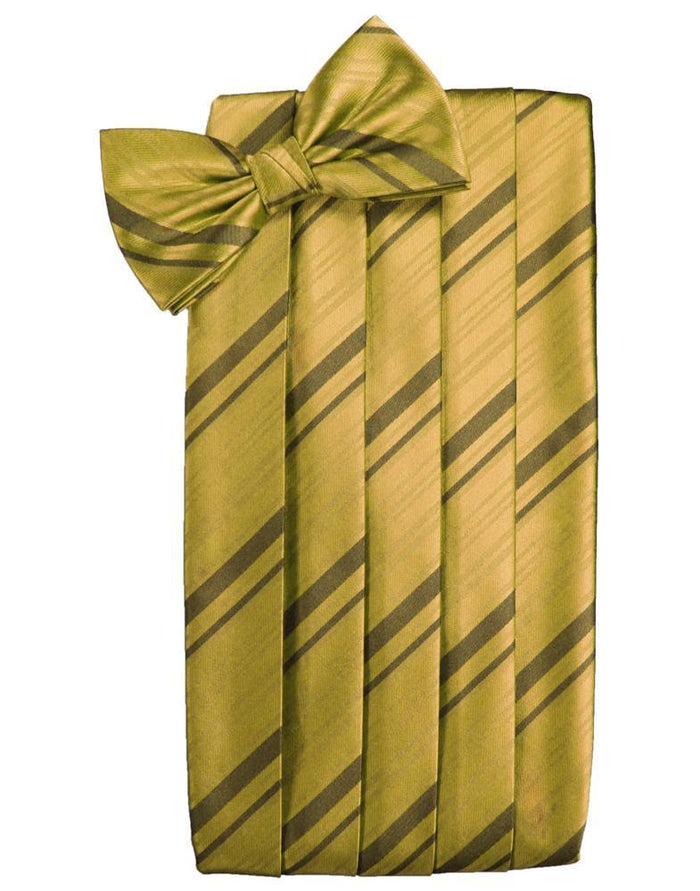 New Gold Kids Striped Satin Cummerbund