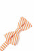 Orange Newton Stripe Bow Tie