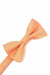 Orange Regal Bow Tie