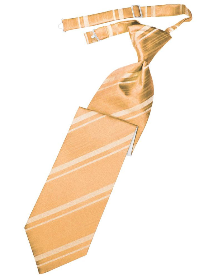 Cardi Pre-Tied Apricot Striped Satin Necktie