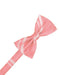 Coral Reef Striped Satin Bow Tie