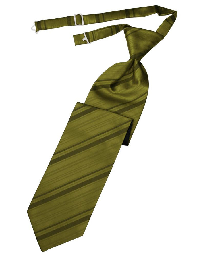Cardi Pre-Tied Fern Striped Satin Necktie