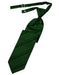 Cardi Pre-Tied Hunter Striped Satin Necktie
