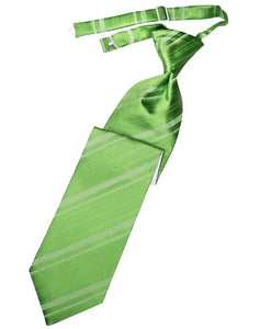 Cardi Pre-Tied Kelly Striped Satin Necktie