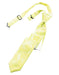 Cardi Pre-Tied Lemon Tapestry Skinny Necktie