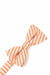 Orange Newton Stripe Bow Tie
